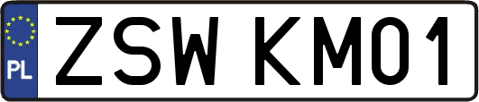 ZSWKM01