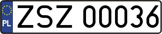 ZSZ00036