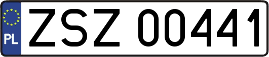 ZSZ00441