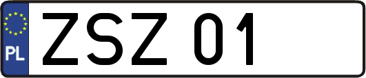 ZSZ01