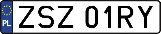 ZSZ01RY