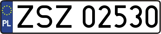 ZSZ02530