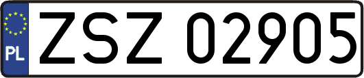 ZSZ02905