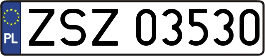 ZSZ03530