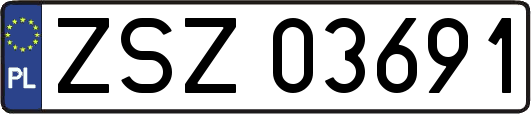 ZSZ03691