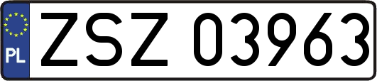 ZSZ03963