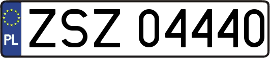 ZSZ04440