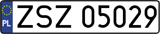 ZSZ05029