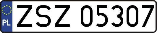 ZSZ05307