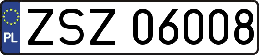 ZSZ06008