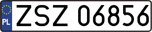 ZSZ06856
