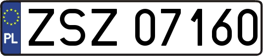 ZSZ07160
