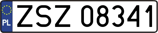ZSZ08341