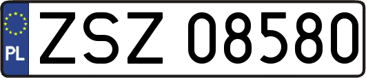 ZSZ08580