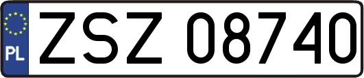 ZSZ08740