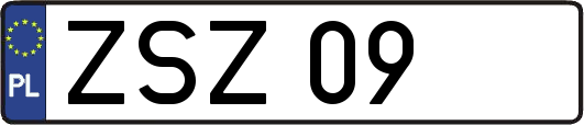 ZSZ09