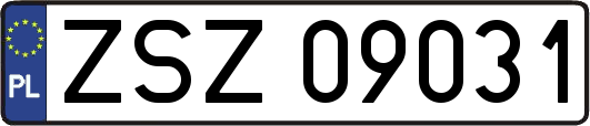 ZSZ09031