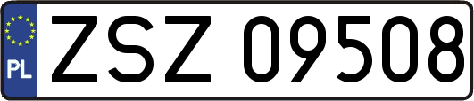 ZSZ09508