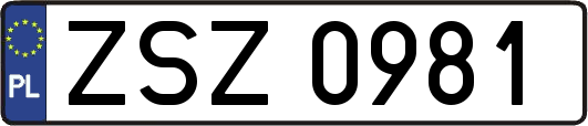 ZSZ0981