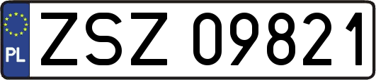 ZSZ09821