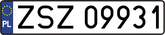ZSZ09931
