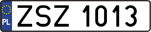 ZSZ1013