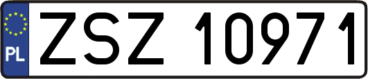 ZSZ10971