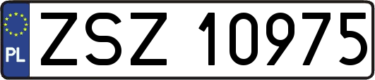 ZSZ10975