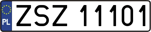ZSZ11101