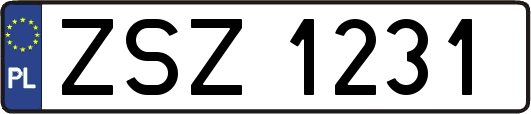 ZSZ1231