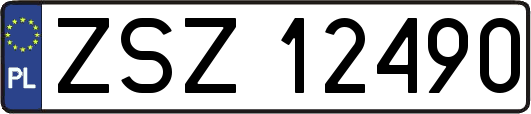 ZSZ12490