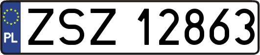 ZSZ12863