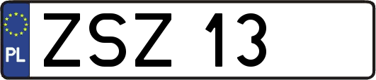 ZSZ13