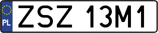 ZSZ13M1