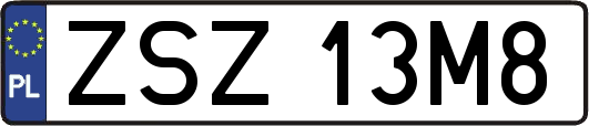 ZSZ13M8
