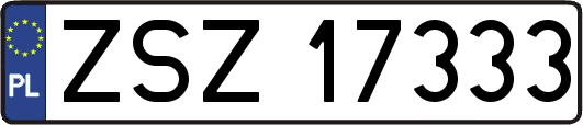 ZSZ17333