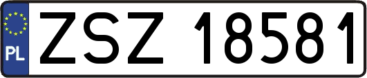 ZSZ18581