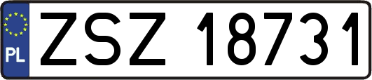 ZSZ18731