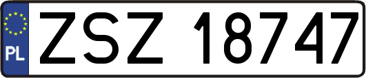 ZSZ18747
