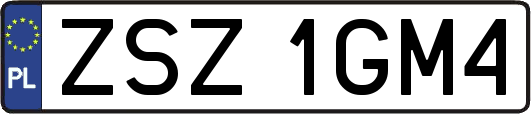 ZSZ1GM4