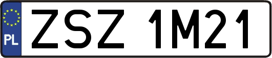 ZSZ1M21