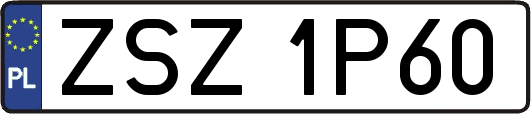 ZSZ1P60