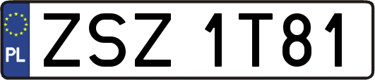 ZSZ1T81