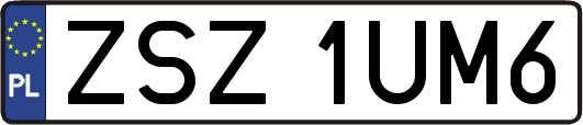 ZSZ1UM6