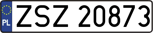 ZSZ20873