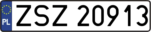ZSZ20913