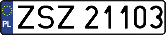 ZSZ21103