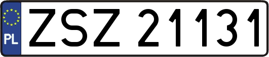 ZSZ21131