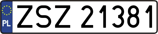 ZSZ21381