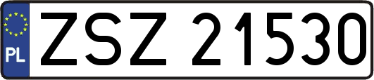 ZSZ21530